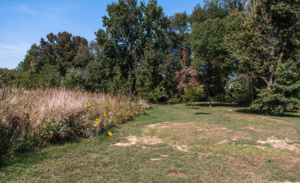 1_0000_IGP1606_WathenPark-1000x650