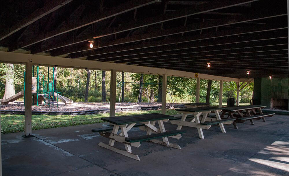 1_0005_IGP1585_WathenPark-1000x650