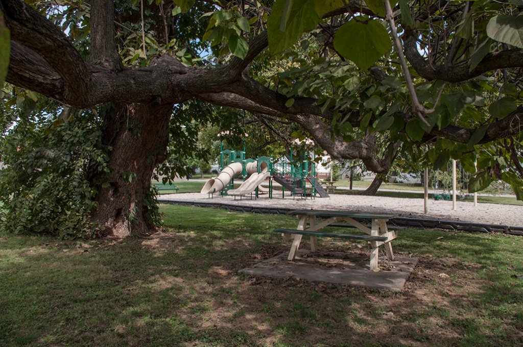 IGP1953_FultonPark-1024x680