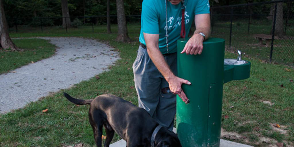 IMGP2243_HighlandDogPark-2-1024x646.jpg_0002_IMGP2188_HighlandPark-1024x646