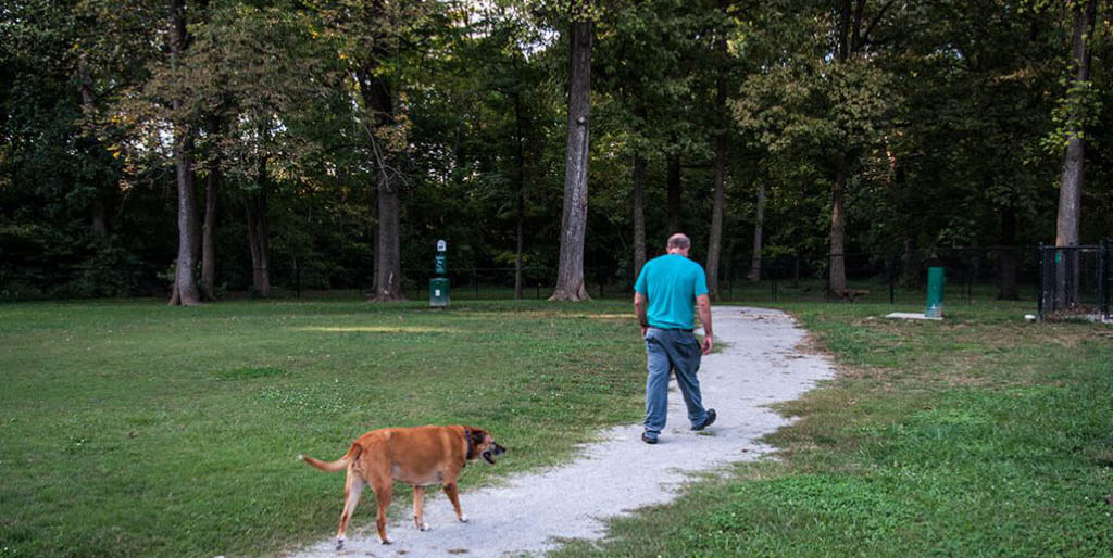 IMGP2243_HighlandDogPark-2-1024x646.jpg_0003_IMGP2173_HighlandPark-2-1024x646
