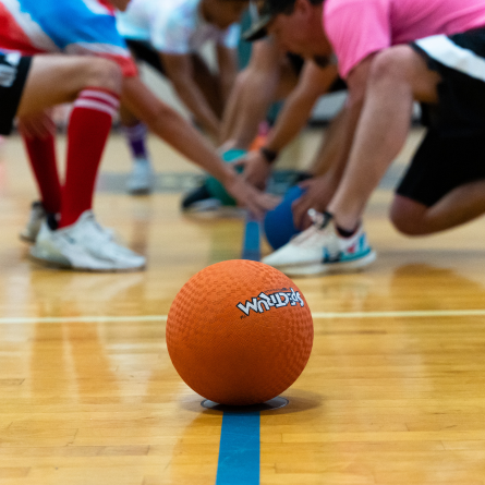 dodgeball envision center